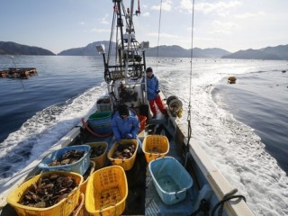 fishing