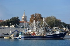 pozar plivarica6-241112