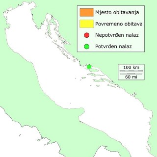 albanija-distribucija